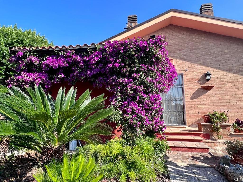 B&B La Casa Di Era Porto San Giorgio Exterior foto